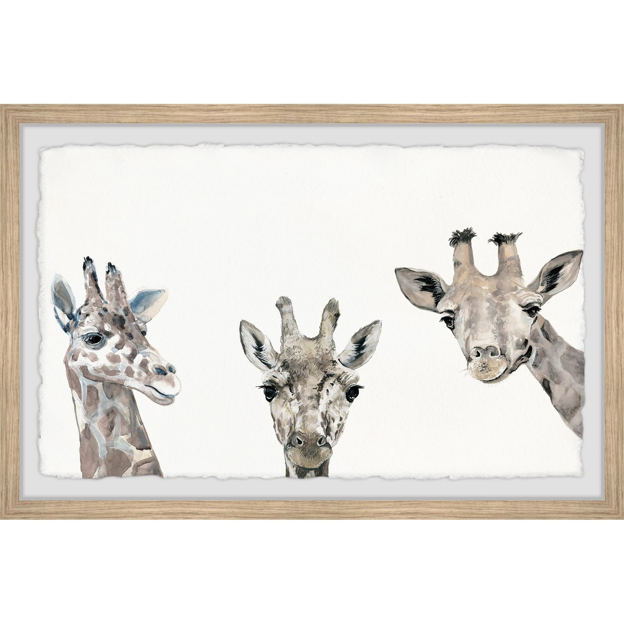 Marmont Hill Giraffe Poses Framed Wall Art, 24.00" x 1.50"