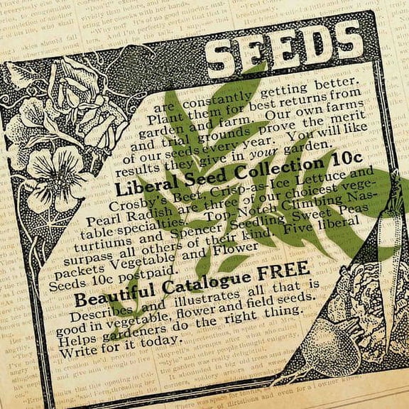 Marmont Hill "Going Green 5" Painting Print on Canvas