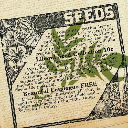 Marmont Hill "Going Green 5" Painting Print on Canvas