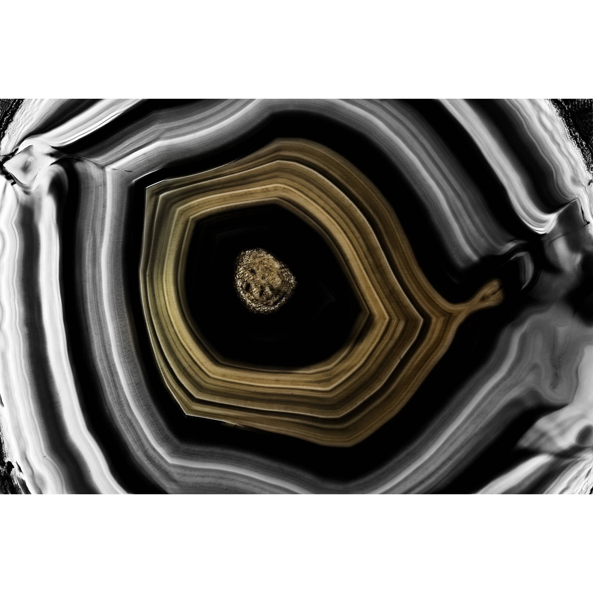 Marmont Hill "Golden Nucleus" Painting Print on Wrapped Canvas