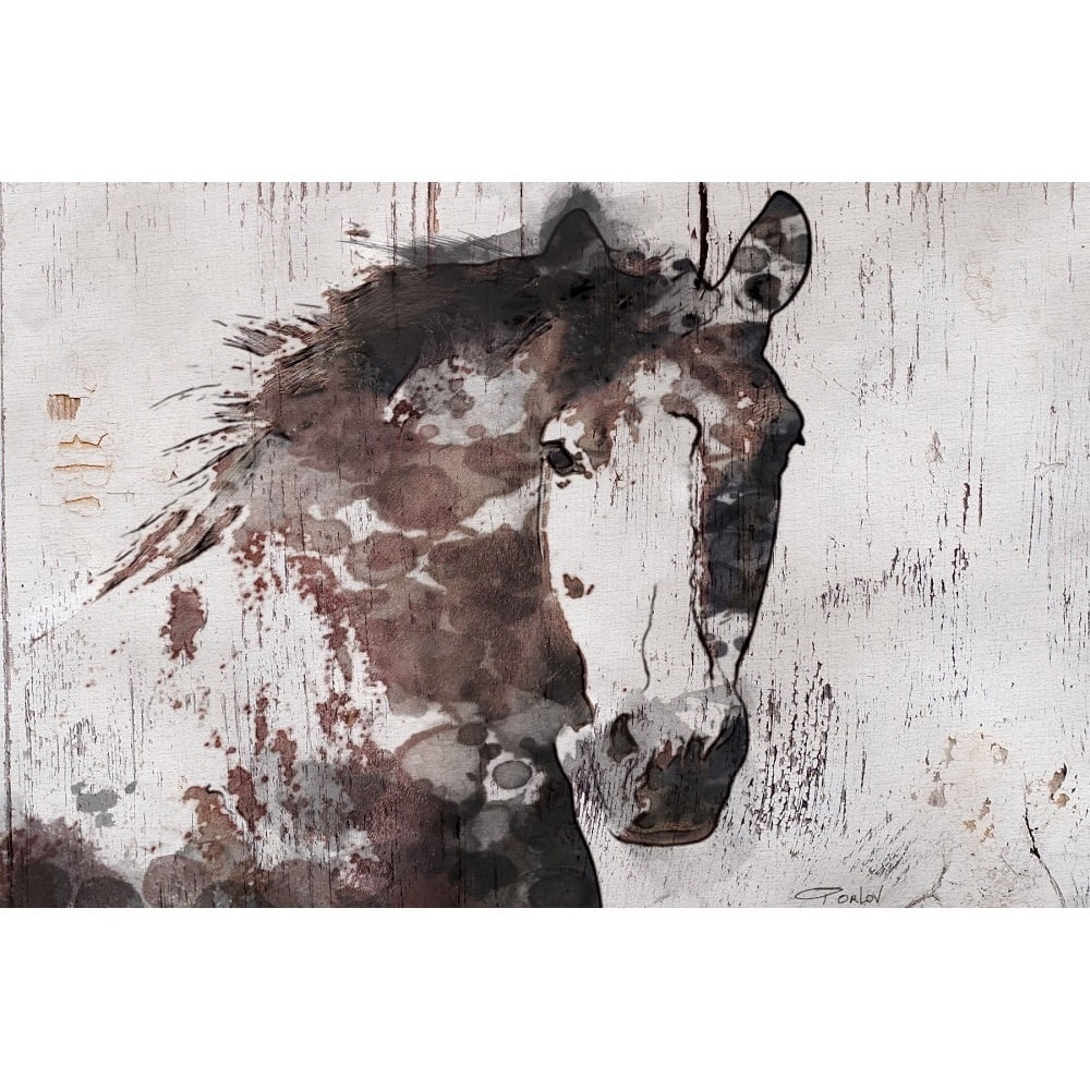Gorgeous Horse Multicolor Canvas Wall Art 30" x 20"