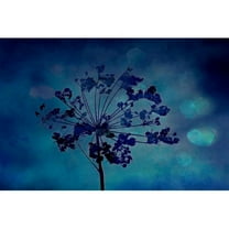 Marmont Hill "Grap Siscle" by Robert Dickinson Painting Print on Canvas