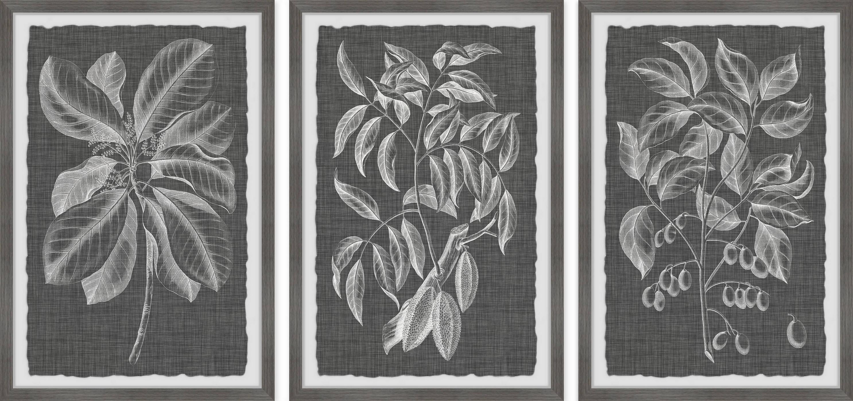 Marmont Hill Graphic Foliage VI Triptych