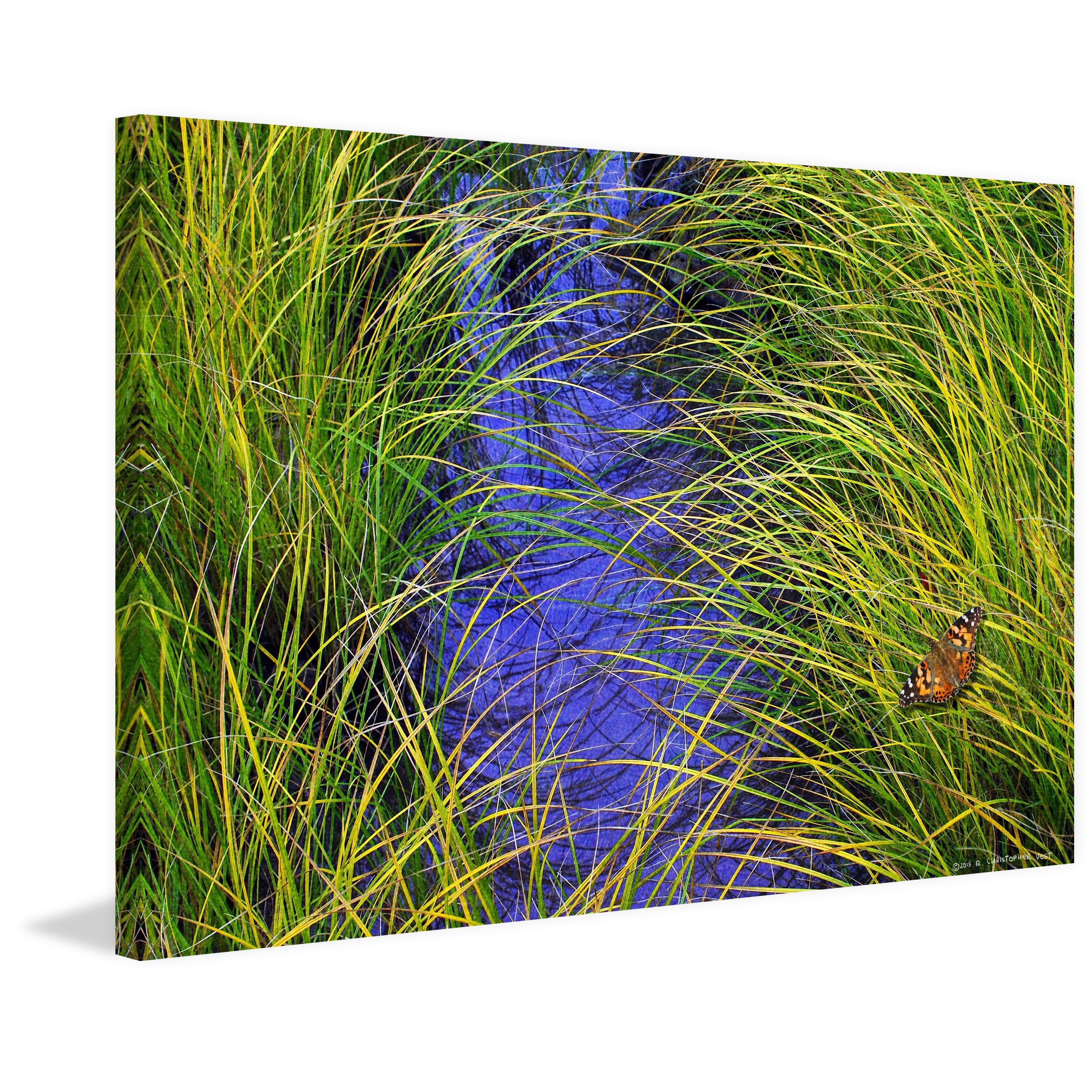 Marmont Hill - "Grass over the Brook" by Chris Vest Painting Print on Wrapped Canvas