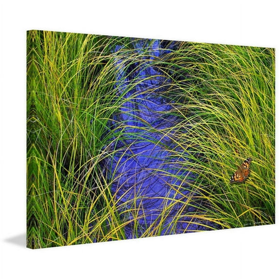 Marmont Hill - "Grass over the Brook" by Chris Vest Painting Print on Wrapped Canvas