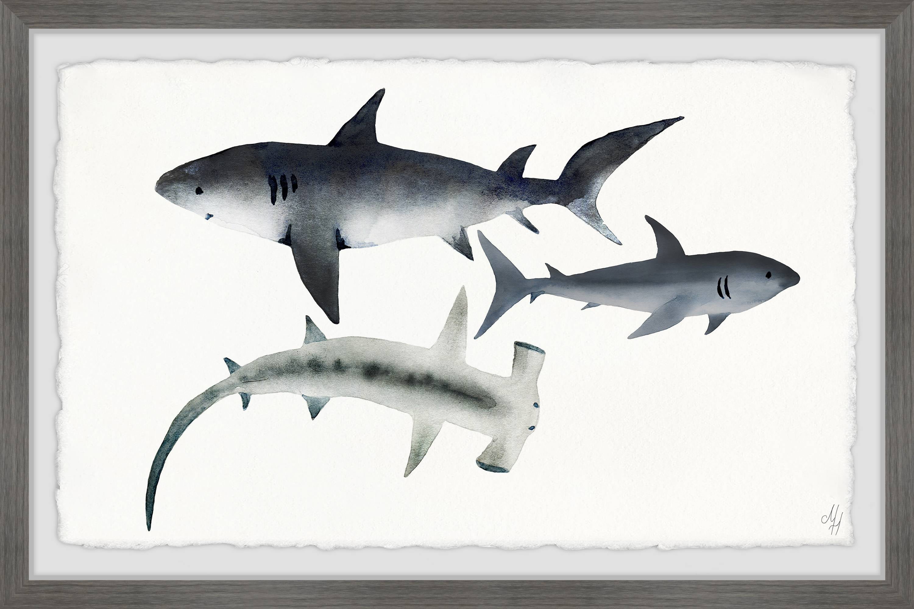Marmont Hill Gray Sharks Framed Wall Art