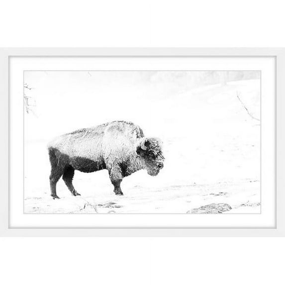 Marmont Hill "Grazing Bison" Framed Painting Print