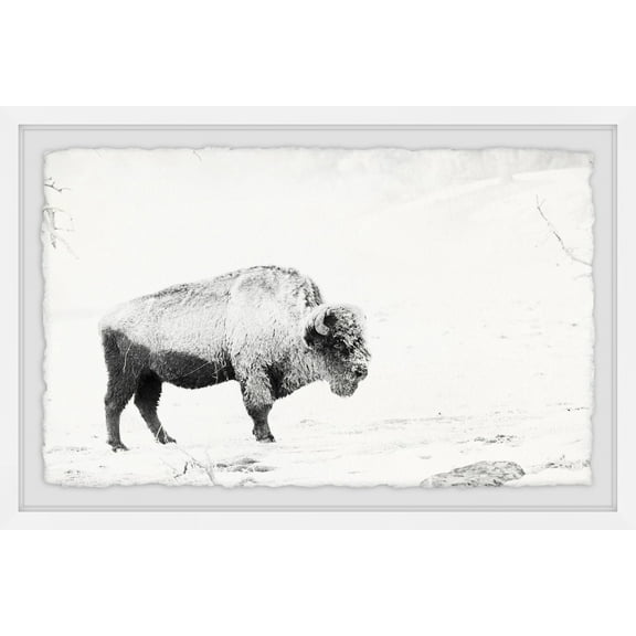 Marmont Hill Grazing Bison Framed Wall Art, 8" x 12"