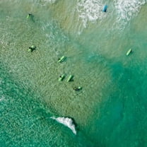 Marmont Hill "Green Boards" by Karolis Janulis Painting Print on Wrapped Canvas