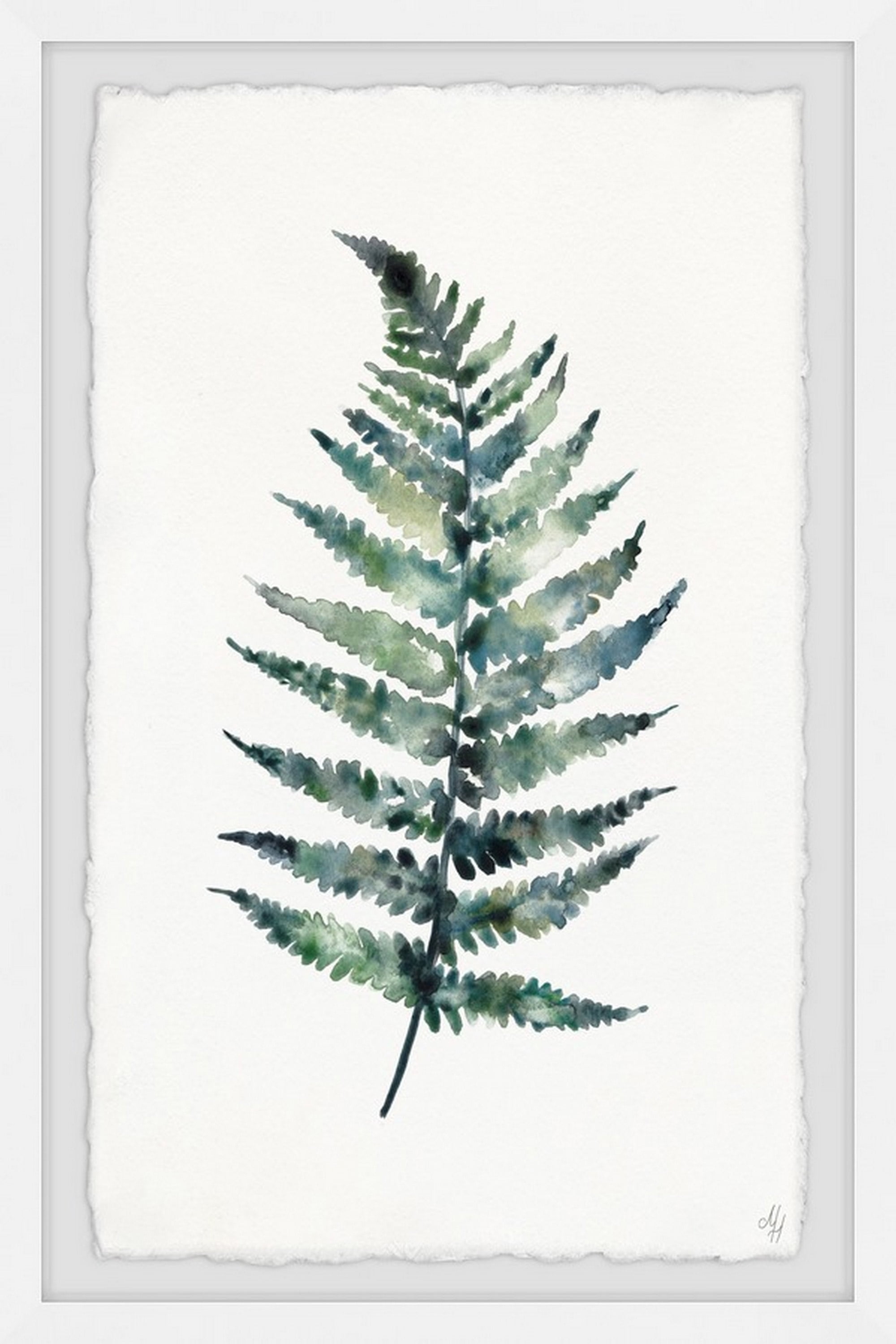 Marmont Hill Green Fern Framed Wall Art, 20.00" x 1.50"