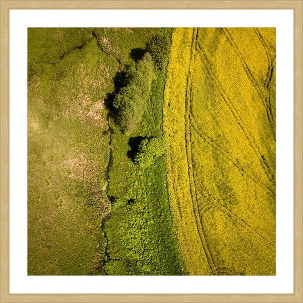 Marmont Hill "Green Land" by Karolis Janulis Framed Painting Print