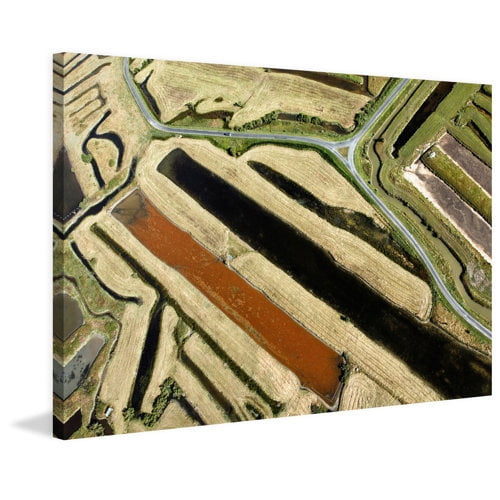 Marmont Hill "Green Paths" Painting Print on Wrapped Canvas