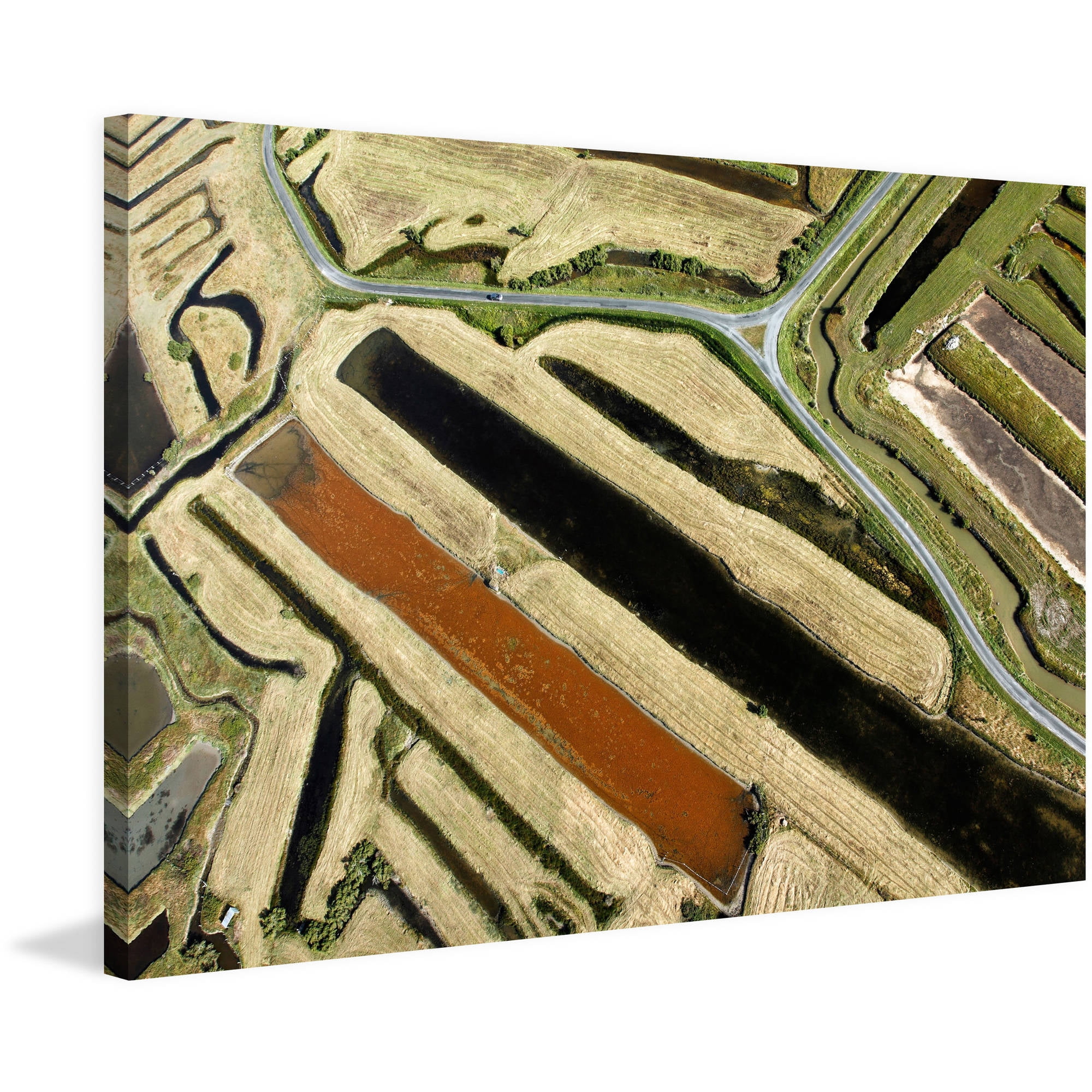 Marmont Hill "Green Paths" Painting Print on Wrapped Canvas