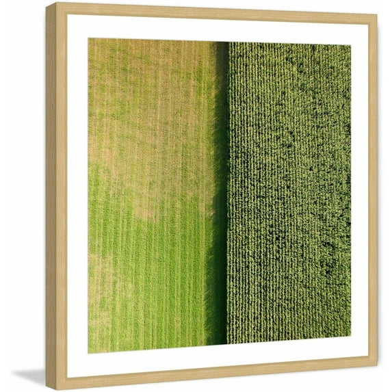 Marmont Hill "Green Rows" by Karolis Janulis Framed Painting Print