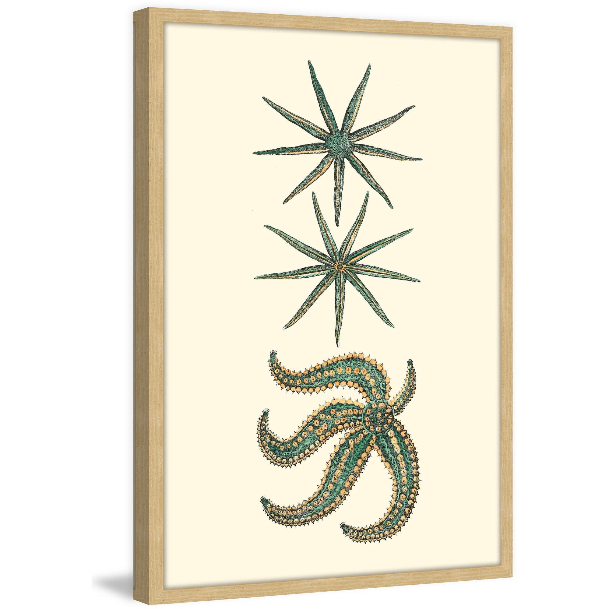Marmont Hill "Green Starfish" Framed Painting Print