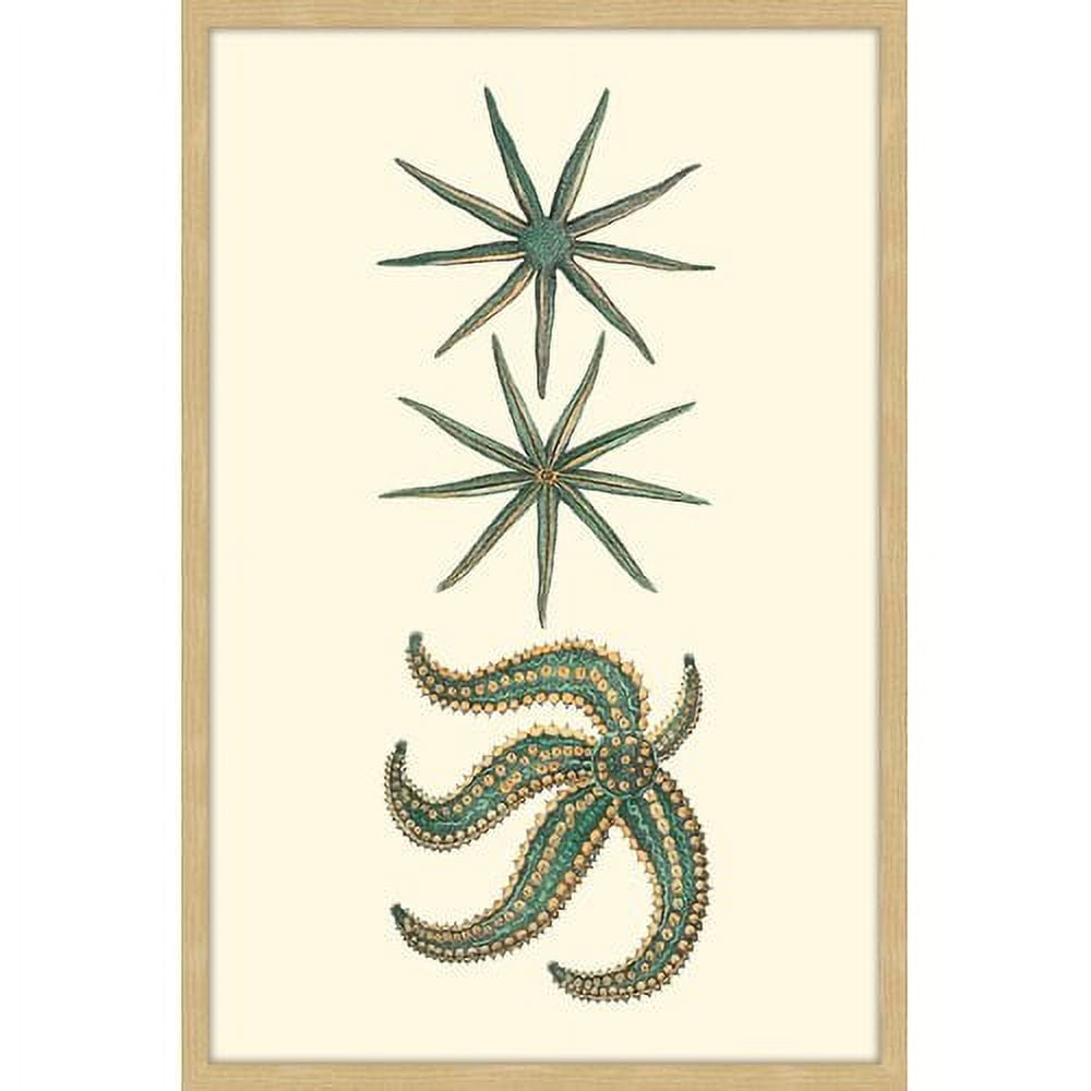 Marmont Hill "Green Starfish" Framed Painting Print