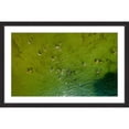thumbnail image 1 of Marmont Hill "Green Water" By Karolis Janulis Framed Painting Art Print, 24.0" x 1.5", 1 of 5