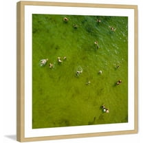 Marmont Hill "Green Water II" by Karolis Janulis Framed Painting Print