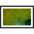 thumbnail image 1 of Marmont Hill "Green Water" by Karolis Janulis Framed Painting Print, 1 of 6