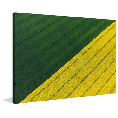Marmont Hill "Green and Yellow Crops" Painting Print on Wrapped Canvas