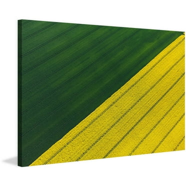 Marmont Hill "Green and Yellow Crops" Painting Print on Wrapped Canvas