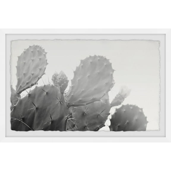 Marmont Hill Grey Cactus Framed Wall Art, 12.00" x 1.50"