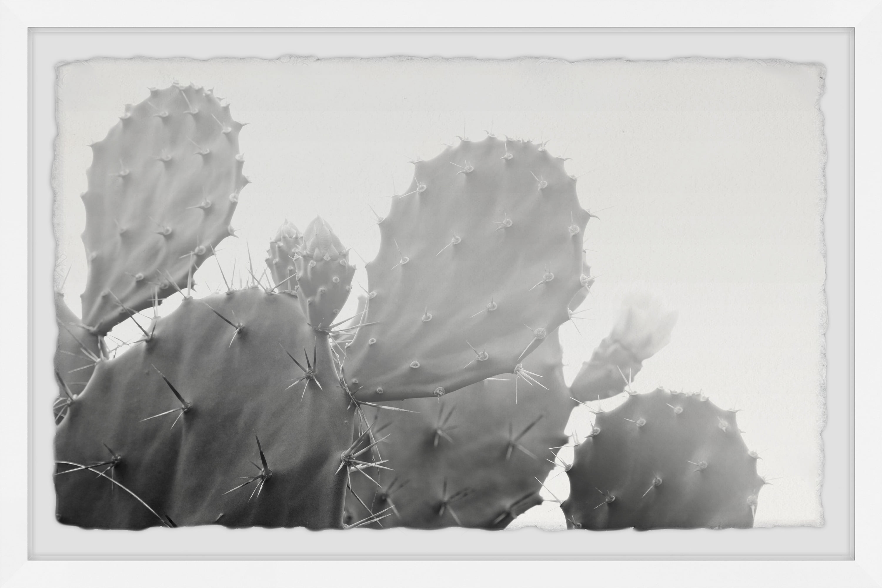 Marmont Hill Grey Cactus Framed Wall Art, 36.00" x 1.50"