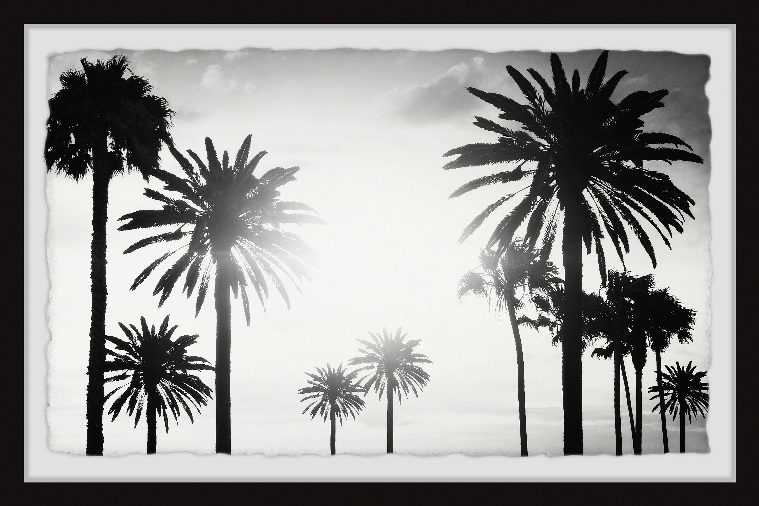 Black and White Palm Trees Framed Wall Art Print, 24" x 16"
