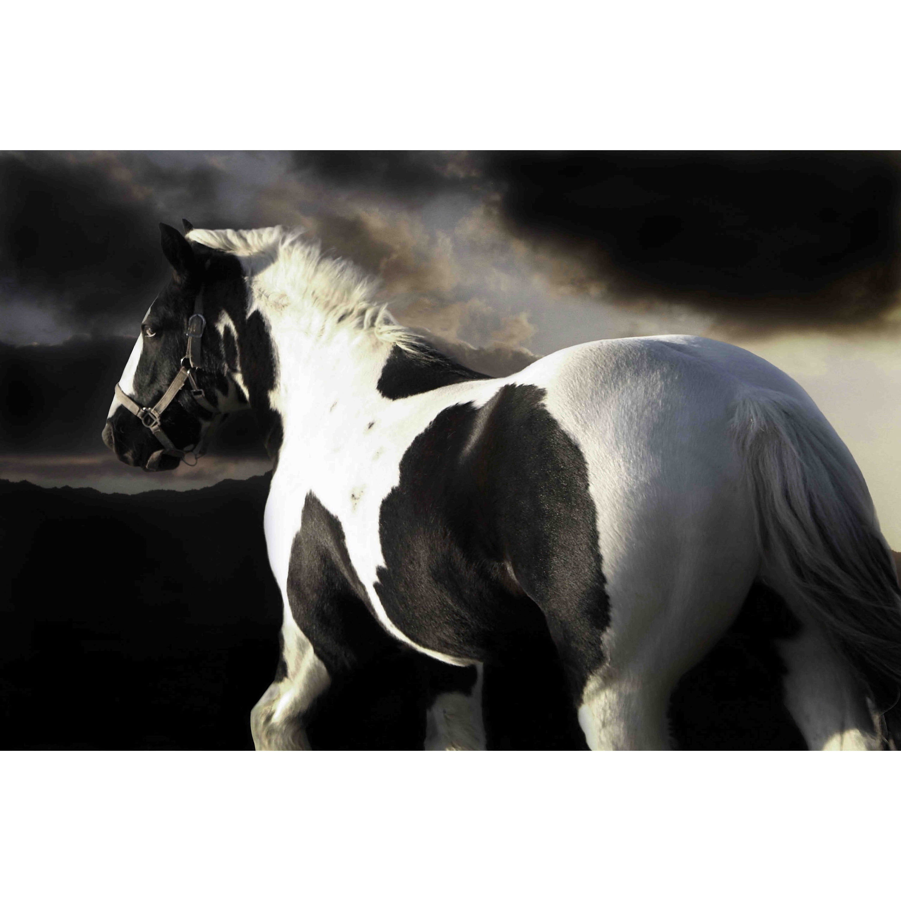 Marmont Hill "Halo" by Maggie Dee Painting Print on Canvas