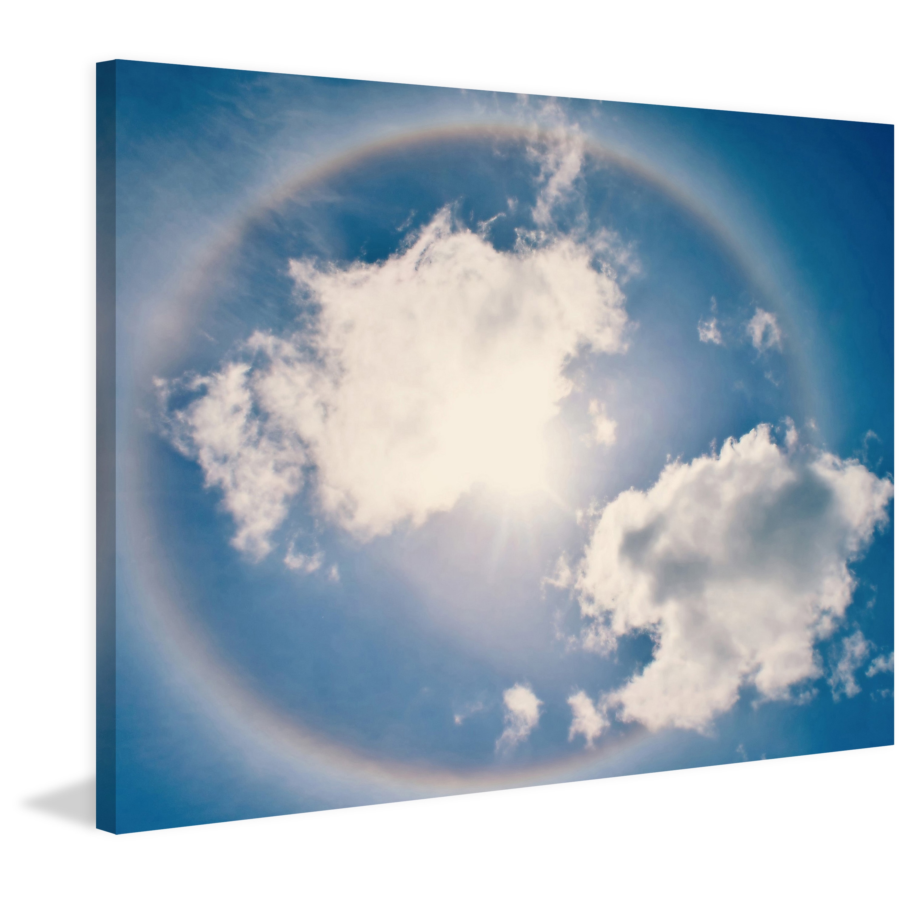 Marmont Hill "Halo" by Robert Dickinson Painting Print on Canvas