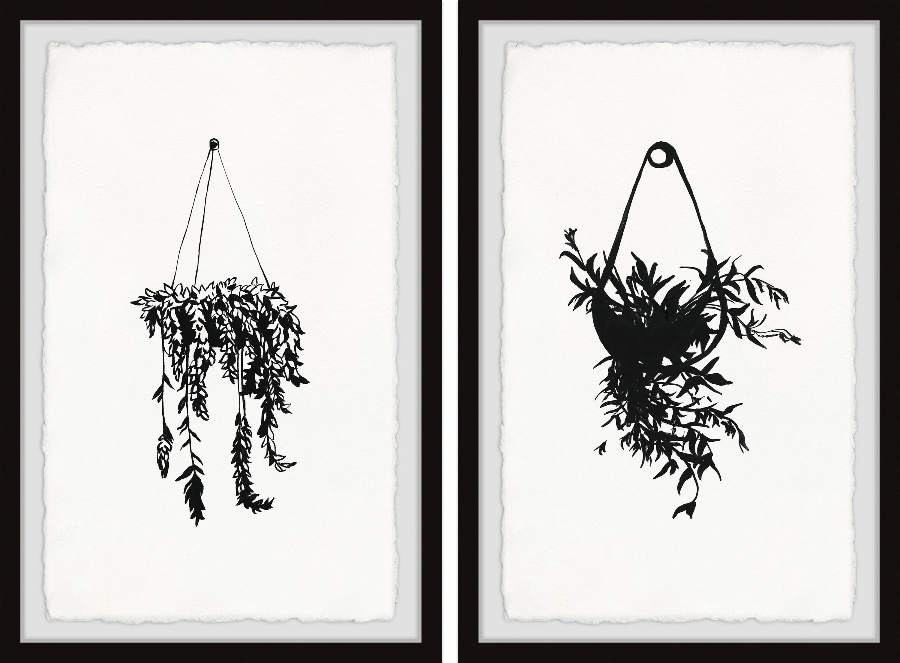 Black and White Hanging Basket Plants Diptych Art Print
