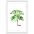 thumbnail image 1 of Marmont Hill "Herb Basil" by Rachel Byler Framed Painting Print, 1 of 5