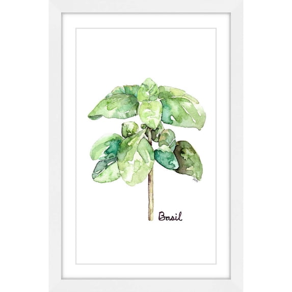 Marmont Hill "Herb Basil" by Rachel Byler Framed Painting Print