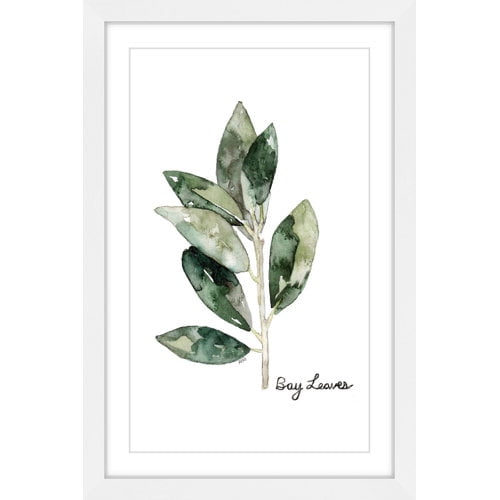 Marmont Hill "Herb Bay Leaves" by Rachel Byler Framed Painting Print