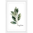 thumbnail image 1 of Marmont Hill "Herb Bay Leaves" by Rachel Byler Framed Painting Print, 1 of 5