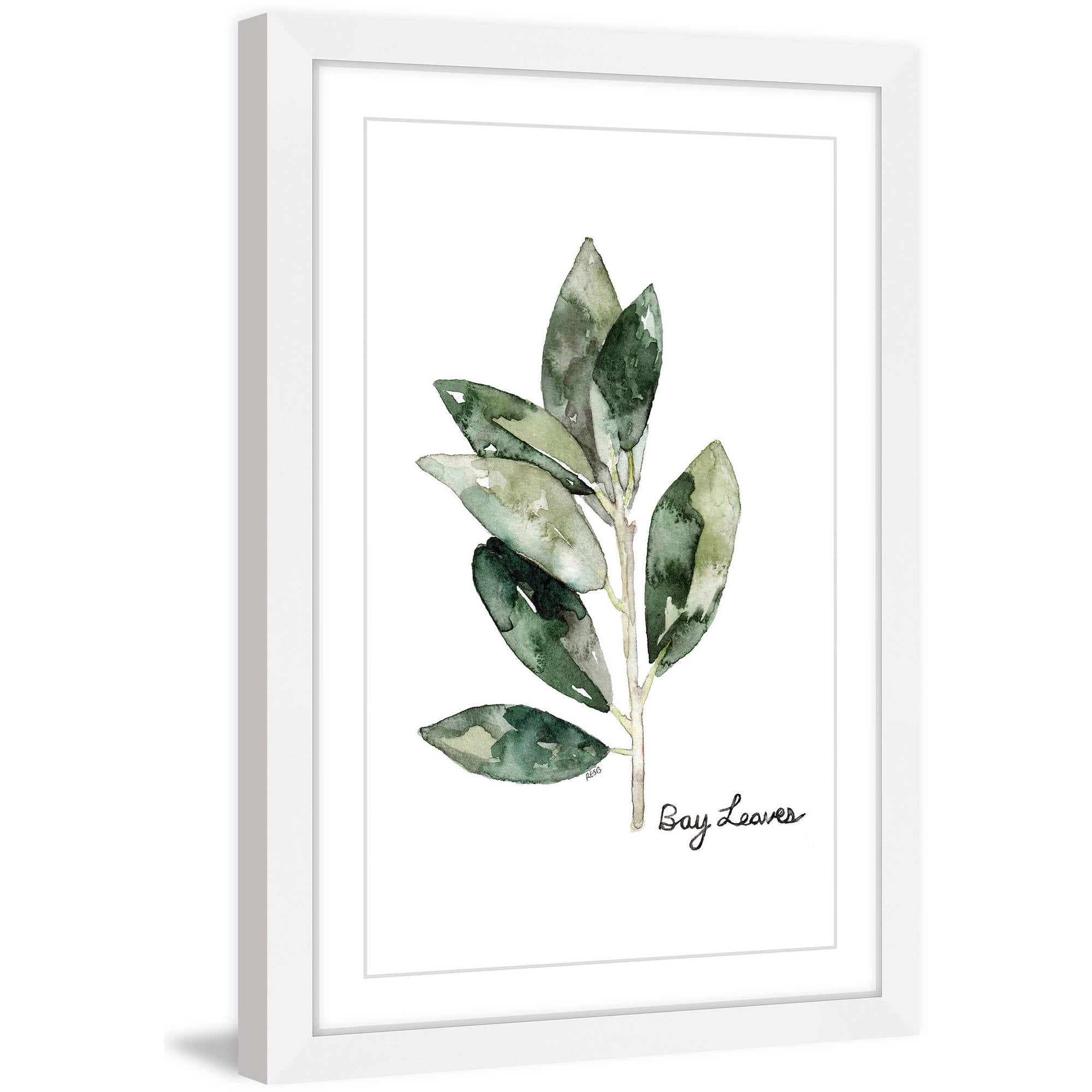 Marmont Hill "Herb Bay Leaves" by Rachel Byler Framed Painting Print