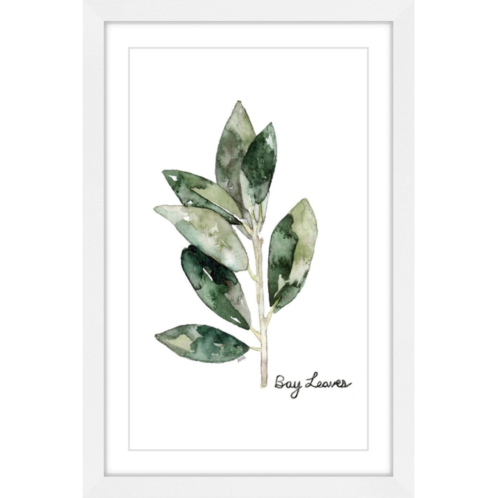 Marmont Hill "Herb Bay Leaves" by Rachel Byler Framed Painting Print