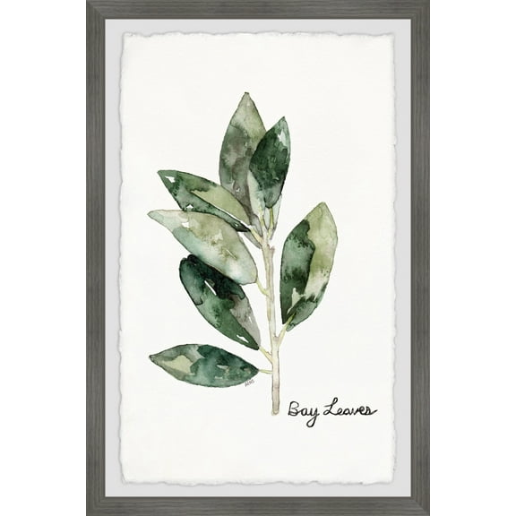 Marmont Hill Herb Bay Leaves by Rachel Byler Framed Wall Art