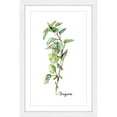 thumbnail image 1 of Marmont Hill "Herb Oregano" by Rachel Byler Framed Painting Print, 1 of 6