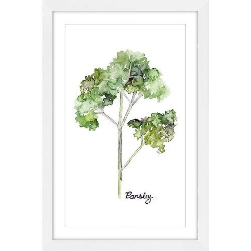 Marmont Hill "Herb Parsley" by Rachel Byler Framed Painting Print