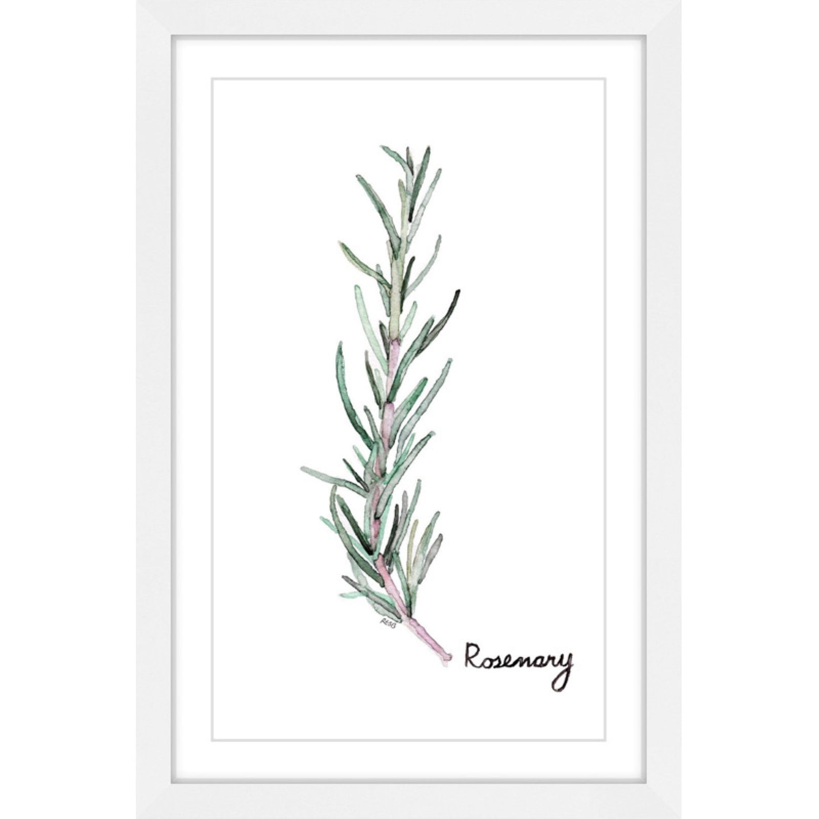 Marmont Hill "Herb Rosemary" by Rachel Byler Framed Painting Print