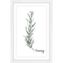 Marmont Hill "Herb Rosemary" by Rachel Byler Framed Painting Print