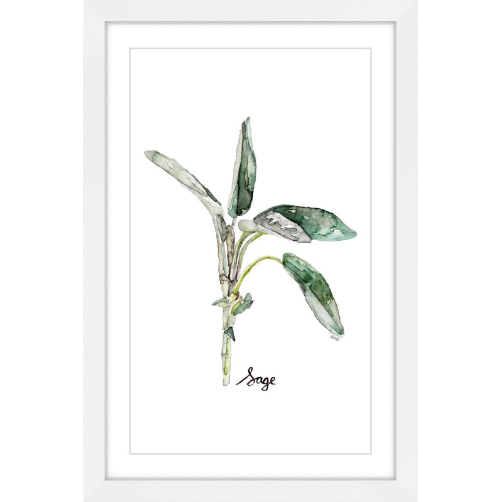 Marmont Hill "Herb Sage" by Rachel Byler Framed Painting Print
