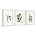 thumbnail image 1 of Marmont Hill Herb Trio Triptych Art Prints, 1 of 6
