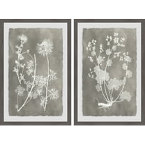 Marmont Hill Herbarium Study Diptych, 12" x 16”