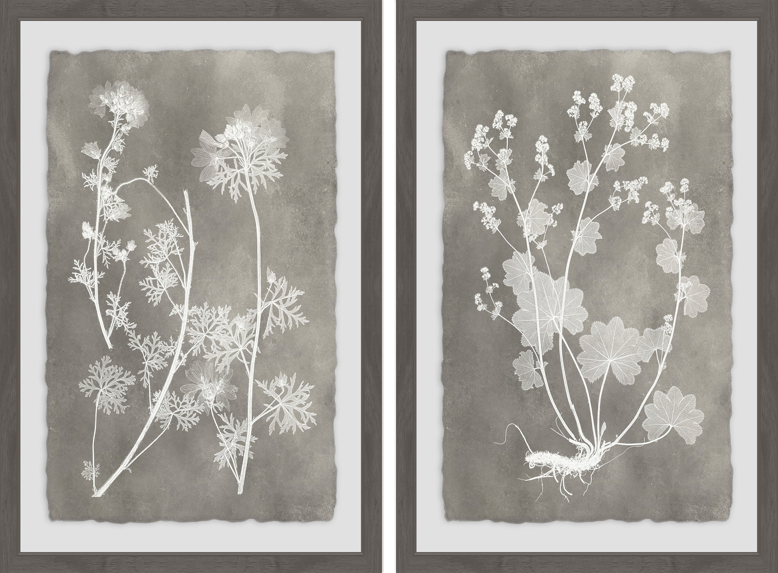 Marmont Hill Herbarium Study Diptych, 36" x 48”