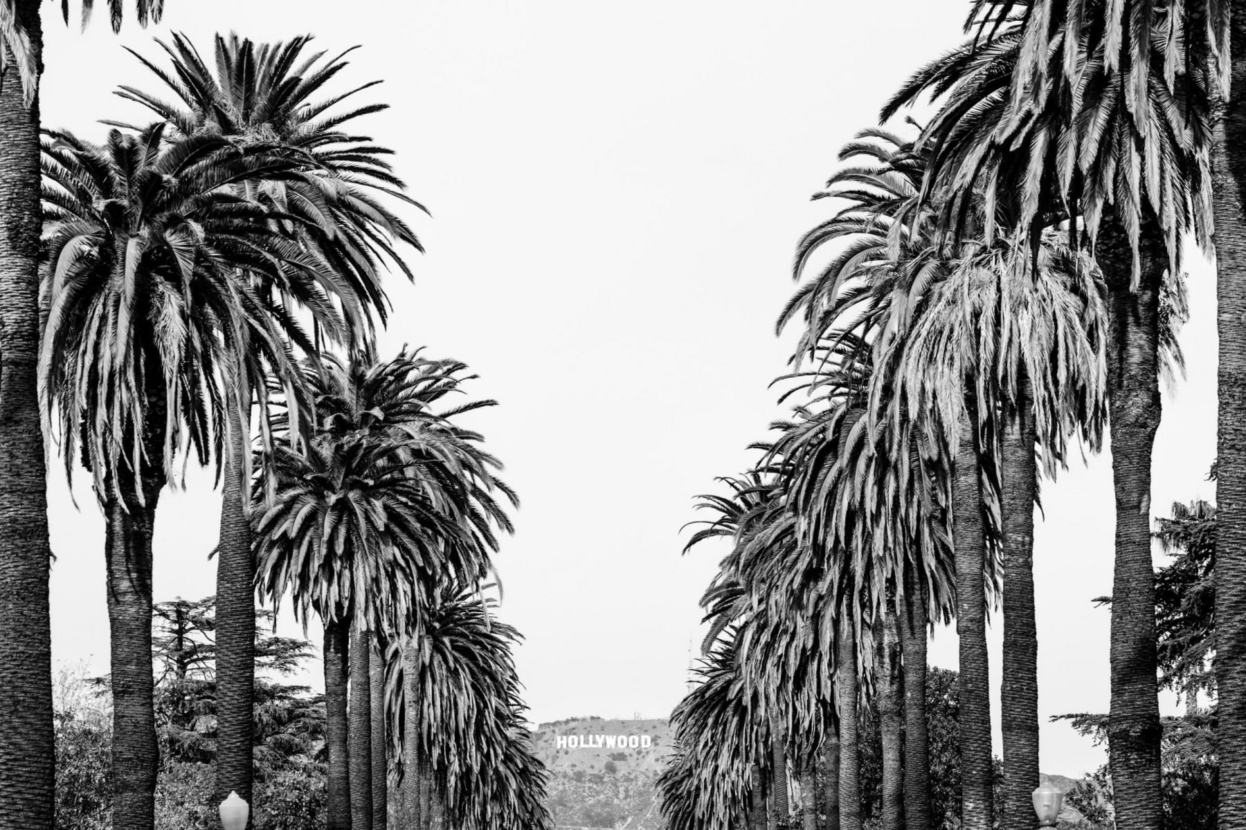 Marmont Hill Hollywood in Sight by Morgan Hartley Canvas Wall Art, 8" x 12"