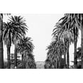 thumbnail image 1 of Marmont Hill Hollywood in Sight by Morgan Hartley Canvas Wall Art, 8" x 12", 1 of 7