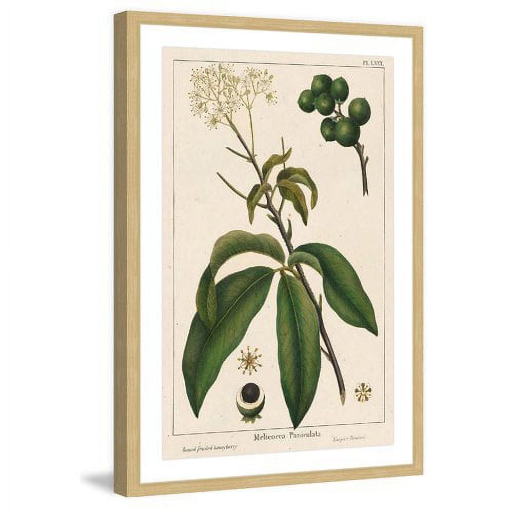 Marmont Hill "Honeyberry" Framed Painting Print