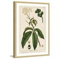 thumbnail image 1 of Marmont Hill "Honeyberry" Framed Painting Print, 1 of 5